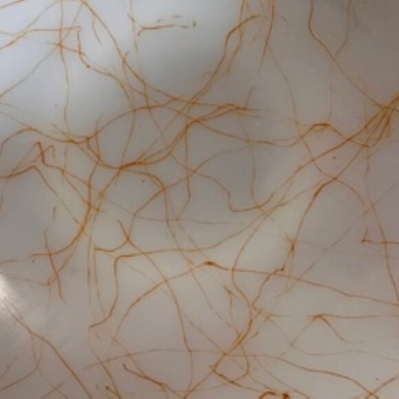 Hazel Atlas Butterscotch Drizzle Milk Glass Bowl Vintage Spaghetti Pattern Retro - Picture 5 of 6